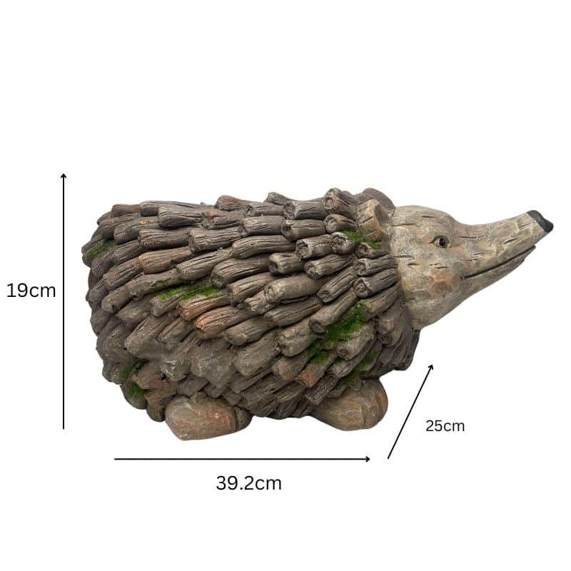 Forest Echidna Planter W Hole & Plug 39x19cm