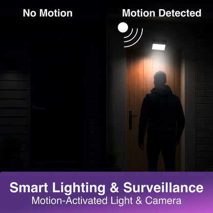 Laser Outdoor Wall Light Camera Twin Pack