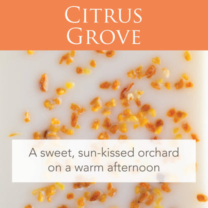 Citrus Grove 2.5 Oz Artisan Melts