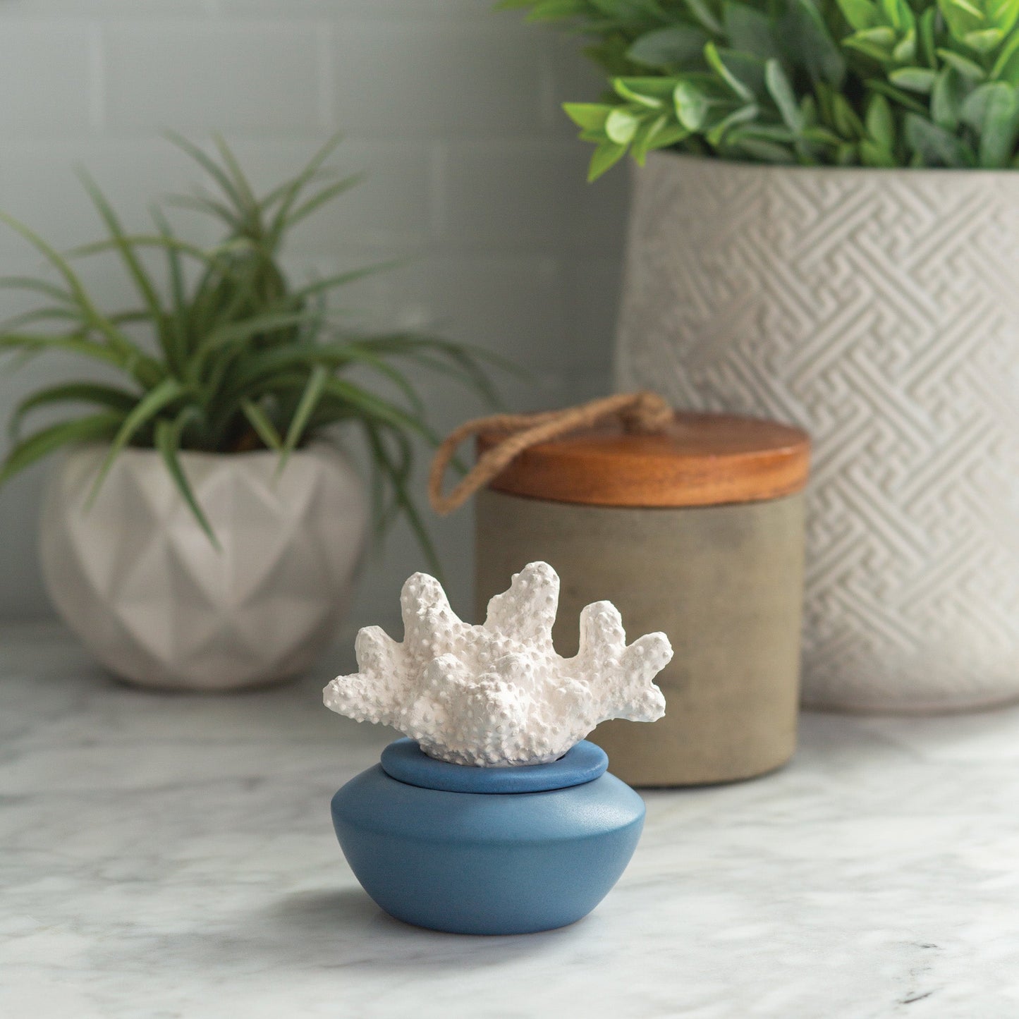 Coral Porcelain Passive Diffuser