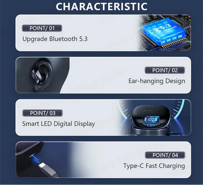 Bluetooth Wireless Earbuds Black