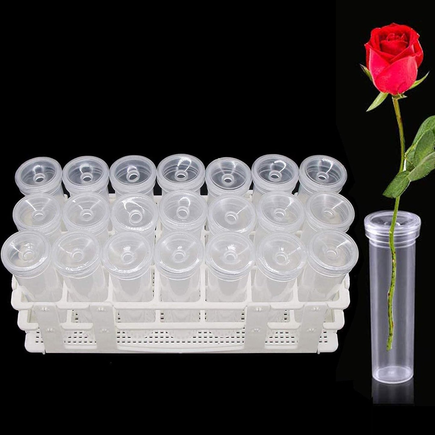 21 Pack 60ml Large Floral Tubes with Rack Holder for Milkweed Cuttings, Raising Caterpillars, Monarchs, Butterflies, Flower Arrangements