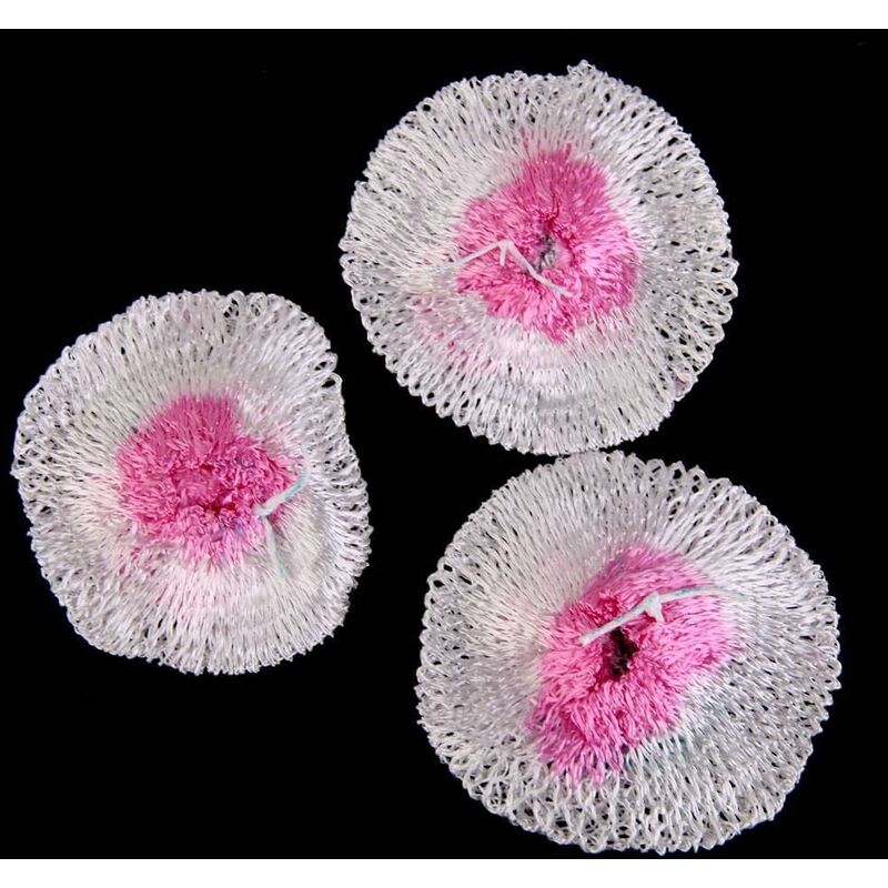 3 pcs Replacement Mantles For Camping Gas Lantern Lamp