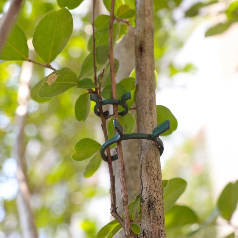 200 pcs Plant Support Clips,Plastic Plant Clips,Climbing Plant Fixing Clips,Garden Clips,For