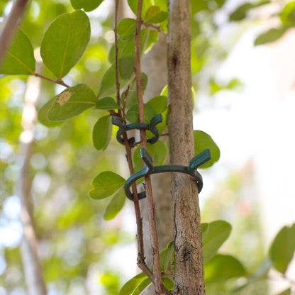 200 pcs Plant Support Clips,Plastic Plant Clips,Climbing Plant Fixing Clips,Garden Clips,For