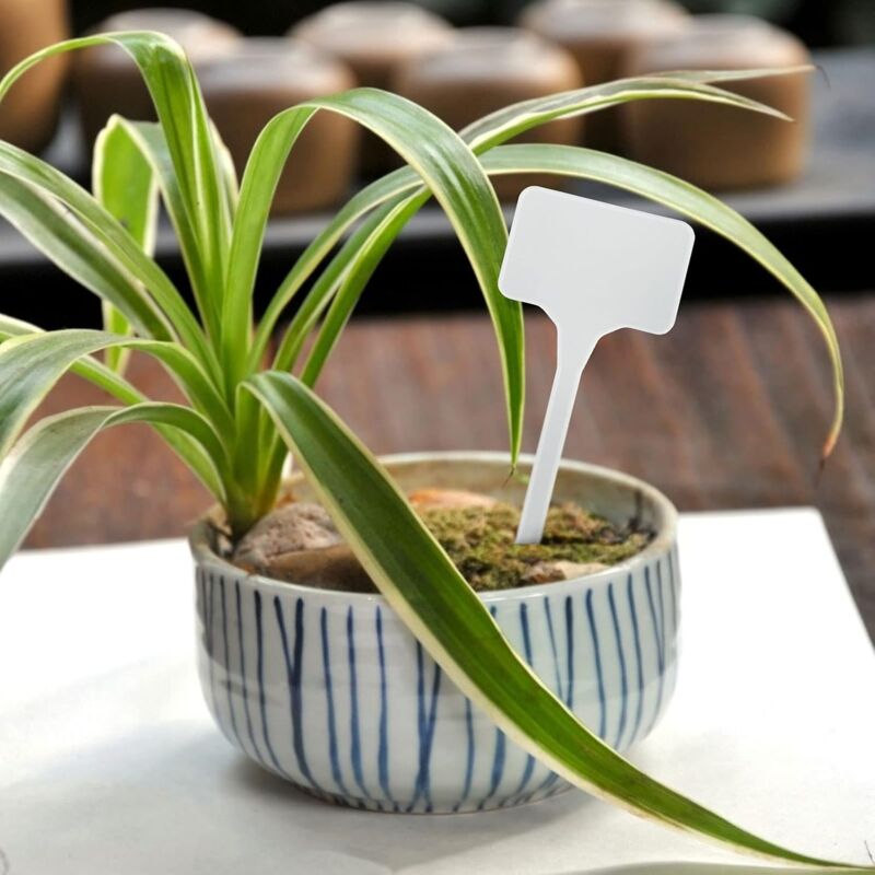 50 Pieces 15.5Cm Outdoor Plant Large Labels Outdoor Plastic Vegetable Garden, White