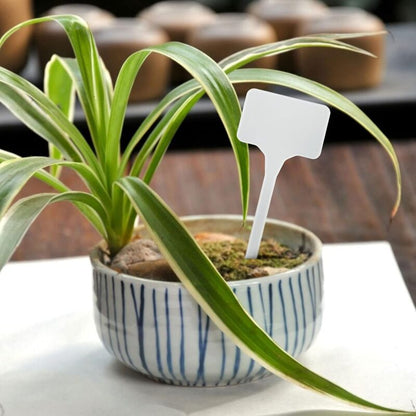 50 Pieces 15.5Cm Outdoor Plant Large Labels Outdoor Plastic Vegetable Garden, White