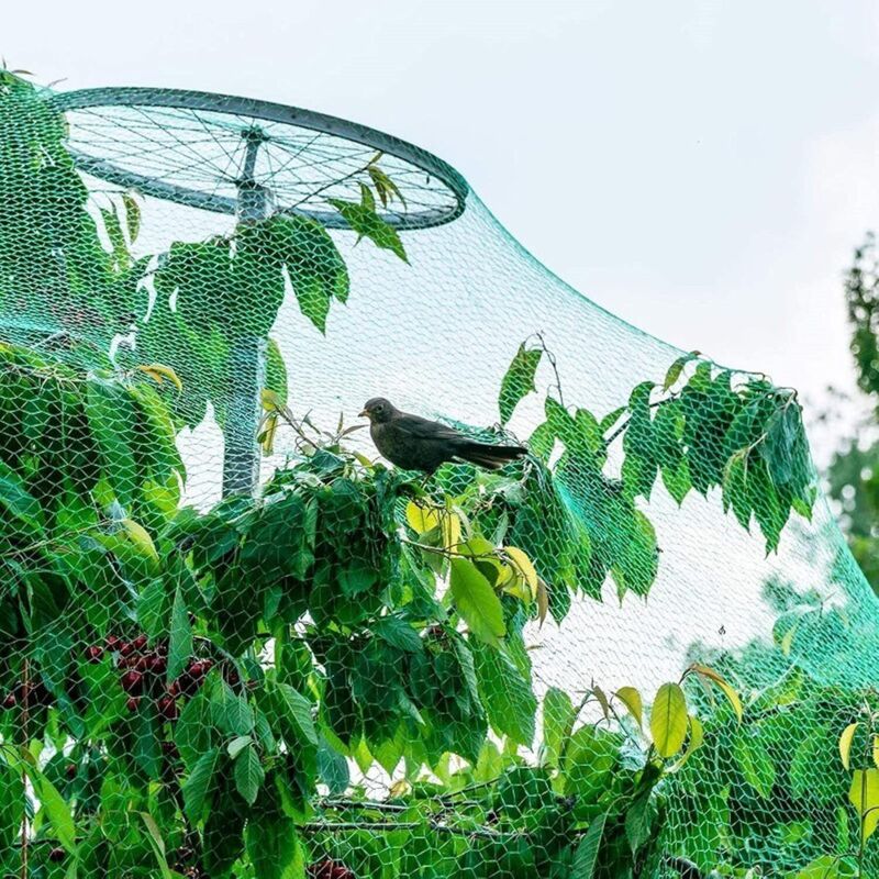 4 X 10 M Bird Protection Netting, Garden For Plants Ponds Fruits Vegetables