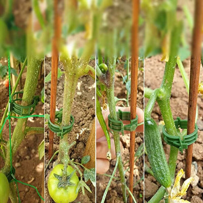 100 pcs Plant Support Clips Tomato Clips Ties Twine Vine Trellis Cages Climbing Plants Vegetables 2.5Cm