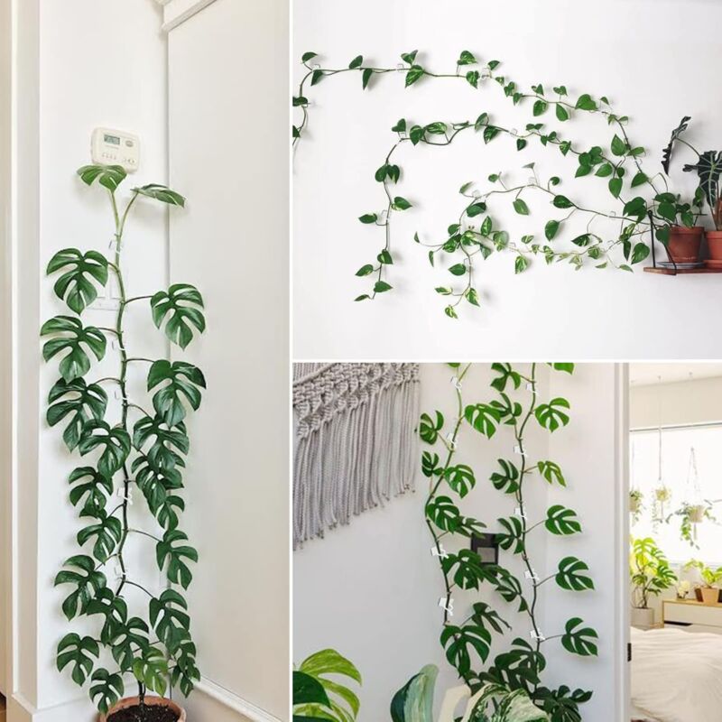 100 pcs Climbing Plant Support Clip, Wall Plant Clip, Vine Wall Clip, Clip For Climbing Plants -White