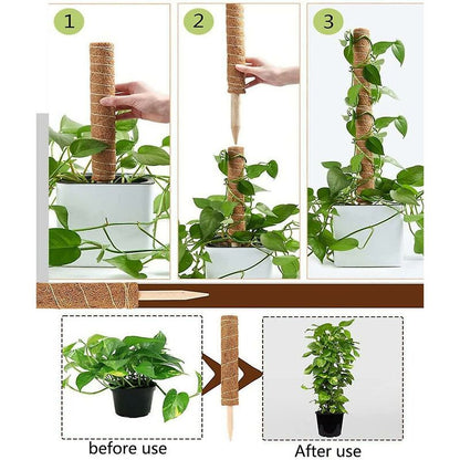 2 pcs Plant Stake, Coco Stake, Coco Pole, Coco Stick For Home Garden Climbing Plants Plant Support Extension