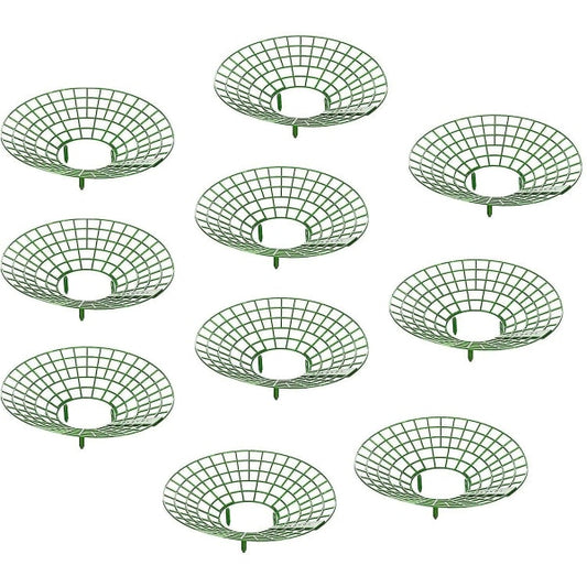 Strawberry Plant Support Cages, 10 pcs Climbing Rack Frame Holder for Balcony Garden Planting, Fruit Support