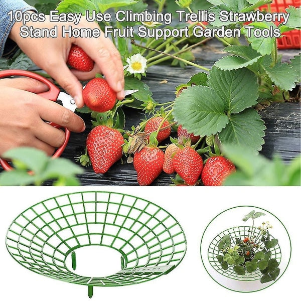 Strawberry Plant Support Cages, 10 pcs Climbing Rack Frame Holder for Balcony Garden Planting, Fruit Support