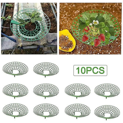 Strawberry Plant Support Cages, 10 pcs Climbing Rack Frame Holder for Balcony Garden Planting, Fruit Support