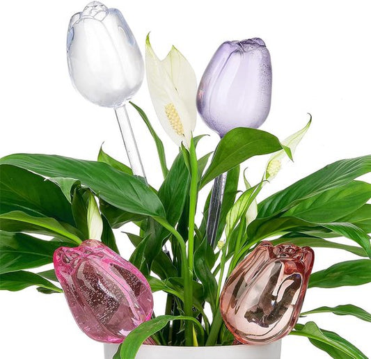 Automatic Watering Balls - 4 Pieces - Tulip-Shaped Automatic Watering Balls - Plant Waterers - Plastic Watering Balls - Suitable for Indoor and Outdoor Plants