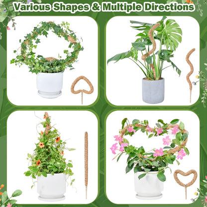 Flexible Plant Support for Climbing Plants - 60 cm Set of 2 - For Houseplants