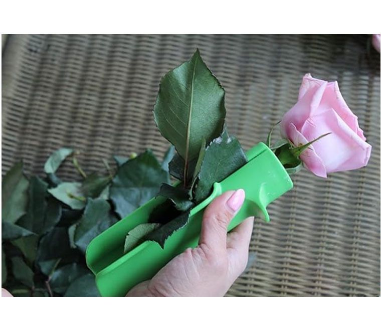 Rose thorn remover-Pink