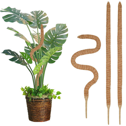 pcs Monstera moss pole for potted plants, bendable plant support