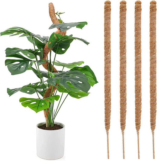 pcs Monstera moss rods for indoor plants, bendable plant holder