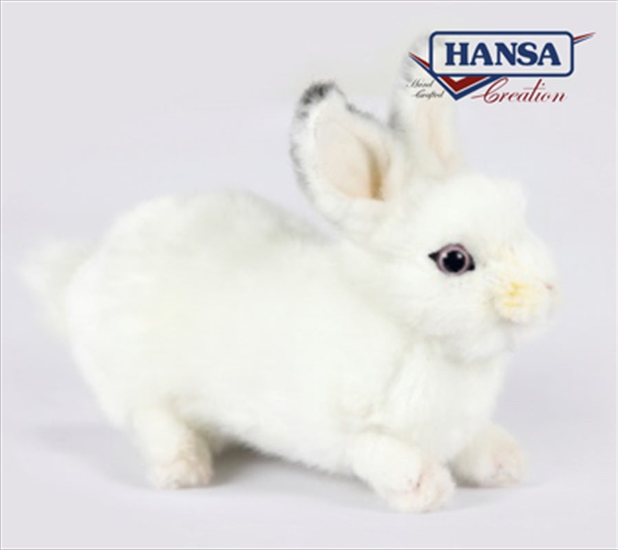 Rabbit 20cm
