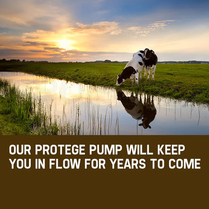 1HP Submersible Bore Water Pump Deep Well Irrigation Stainless Steel 240V