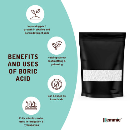 100g Boric Acid Powder High Purity Fully Soluble Granule Pest Ant Cockroaches