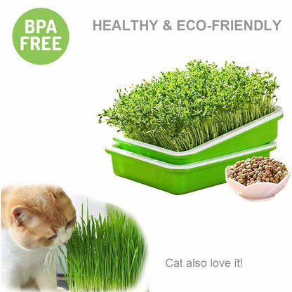 2-Pack Seed Sprouter Trays with Lids BPA-Free, Soil-Free Wheatgrass Growing Kit for Beans, Sprouts, Microgreens