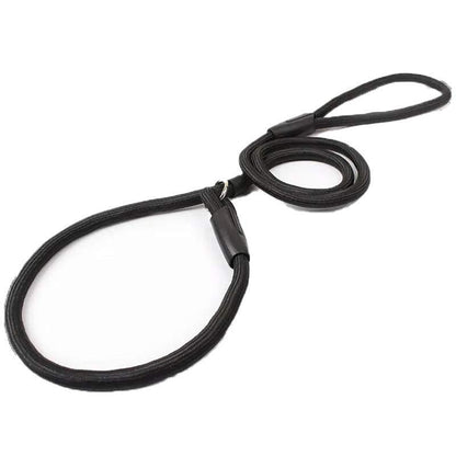 Dog Training Correction Leash Lead Cesar Puppy Pets Millan Slip Nylon Rope 10*140mm - Blue