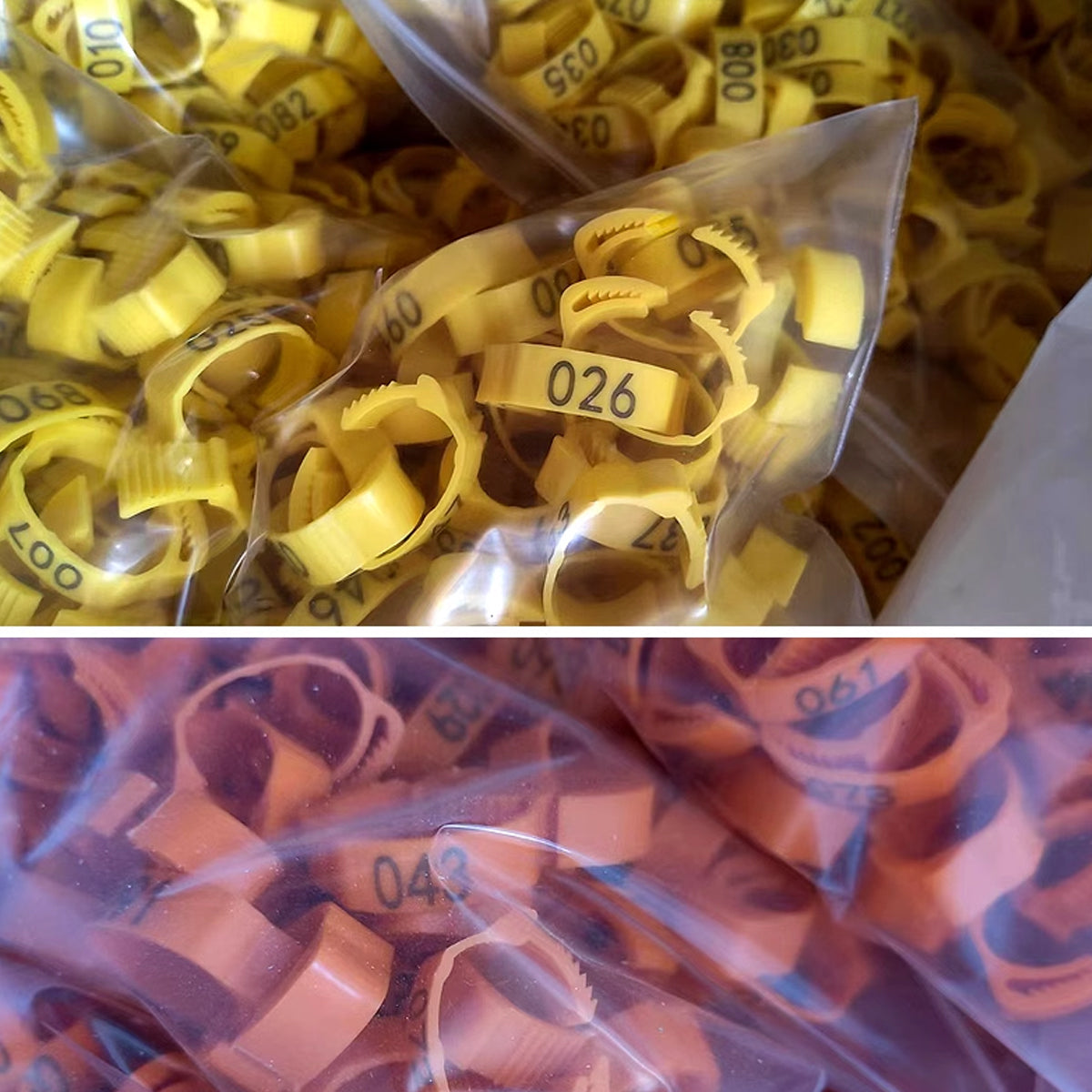 Chicken Duck Goose Leg Rings 100pcs Numbered Ankle Bands Bird ID Tags Farm Use - Green