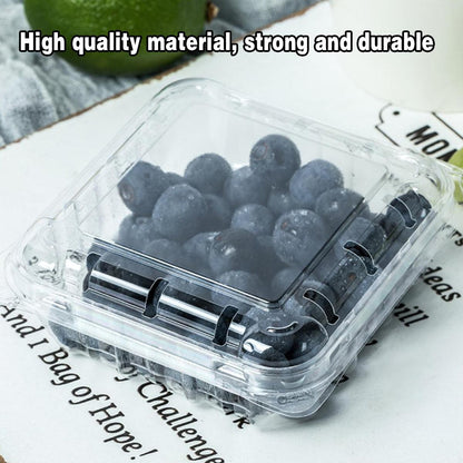 100pcs Transparent Plastic Fruit Box with Tape Cover Storage Packaging for Fruit - 125g