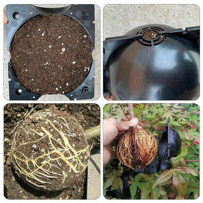 10Pcs Plant Rooting Ball High Pressure Propagation Box Grafting Breeding Device - S-5CM-10PCS