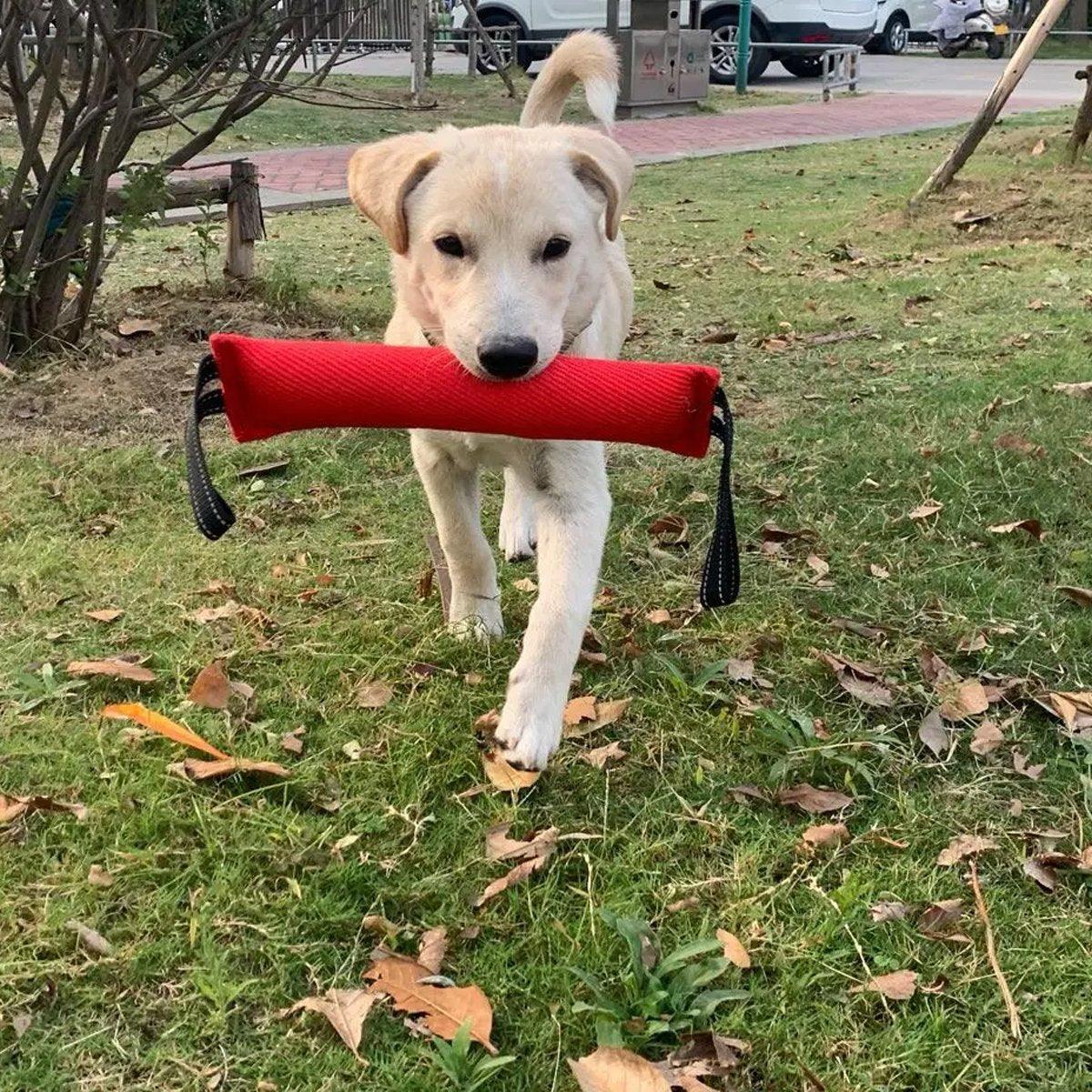 Cloth Bite Stick Teether Dog Training Bite Stick Durable Chew Toy for Pets