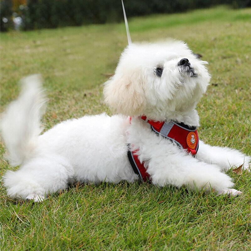 Dog Harness Cat Lead Puppy Leash Vest Mesh Breathe Adjustable Braces Small Pet Red - XXXS