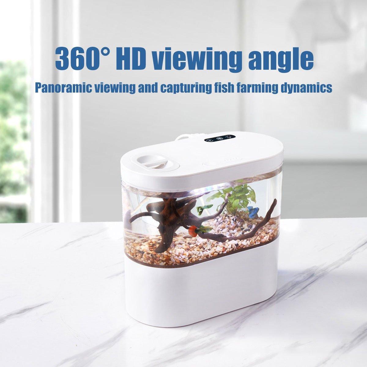 Mini Self-Circulating Desktop Fish Tank Eco-Friendly Creative Aquarium for Home - Black