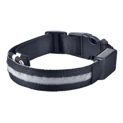 XL Size USB Rechargeable LED Dog Collar Nylon Glow Flashing Light Up Gear - Blue