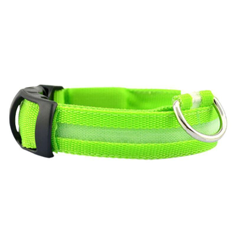 XL Size USB Rechargeable LED Dog Collar Nylon Glow Flashing Light Up Gear - Blue
