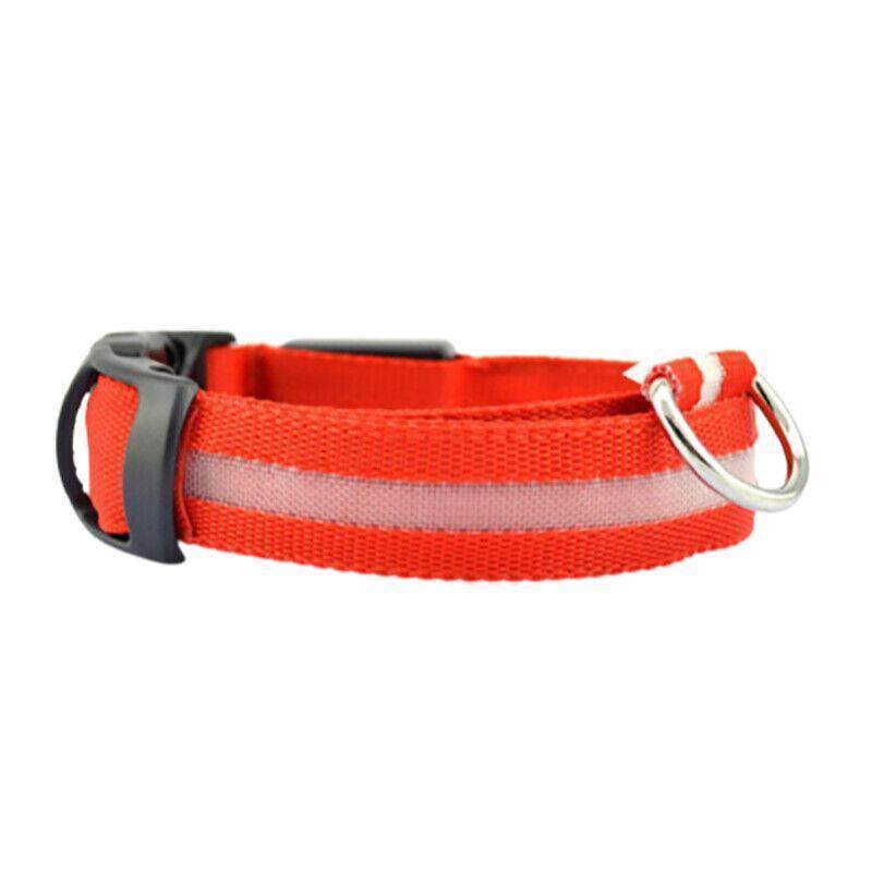 XL Size USB Rechargeable LED Dog Collar Nylon Glow Flashing Light Up Gear - Blue