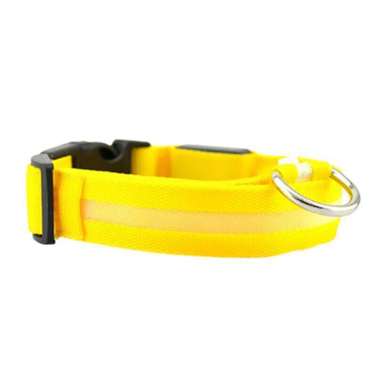 XL Size USB Rechargeable LED Dog Collar Nylon Glow Flashing Light Up Gear - Blue