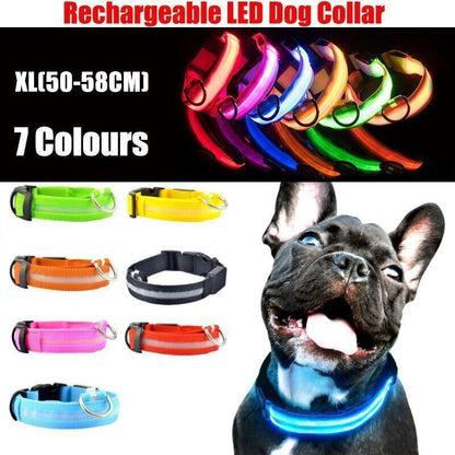 XL Size USB Rechargeable LED Dog Collar Nylon Glow Flashing Light Up Gear - Pink