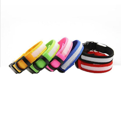 XL Size USB Rechargeable LED Dog Collar Nylon Glow Flashing Light Up Gear - Pink