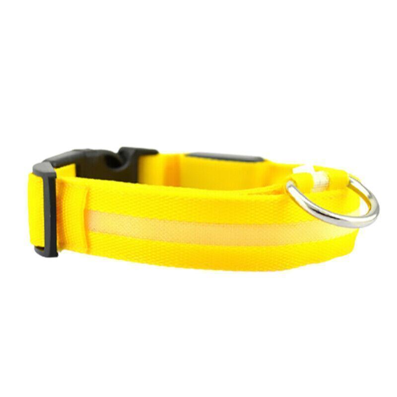 XL Size USB Rechargeable LED Dog Collar Nylon Glow Flashing Light Up Gear - Red