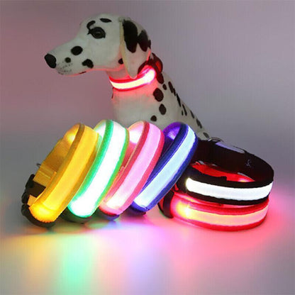 XL Size USB Rechargeable LED Dog Collar Nylon Glow Flashing Light Up Gear - Yellow