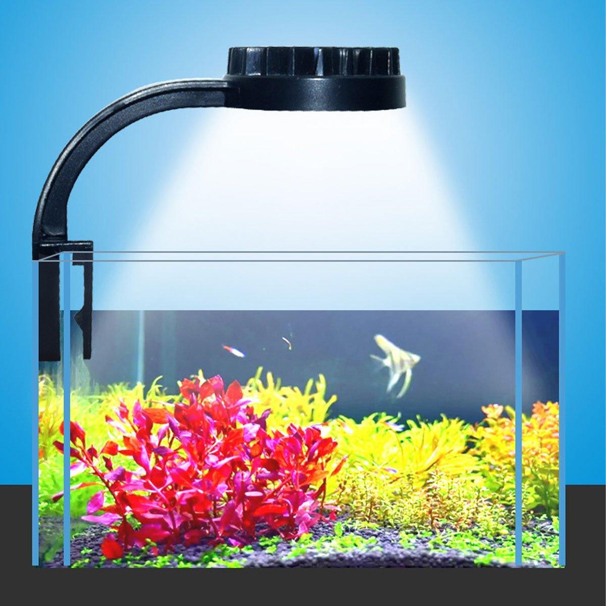 Small LED Fishbowl Aquarium Light Clip On Aquarium Plant Lighting Fish Tank Lamp - Black