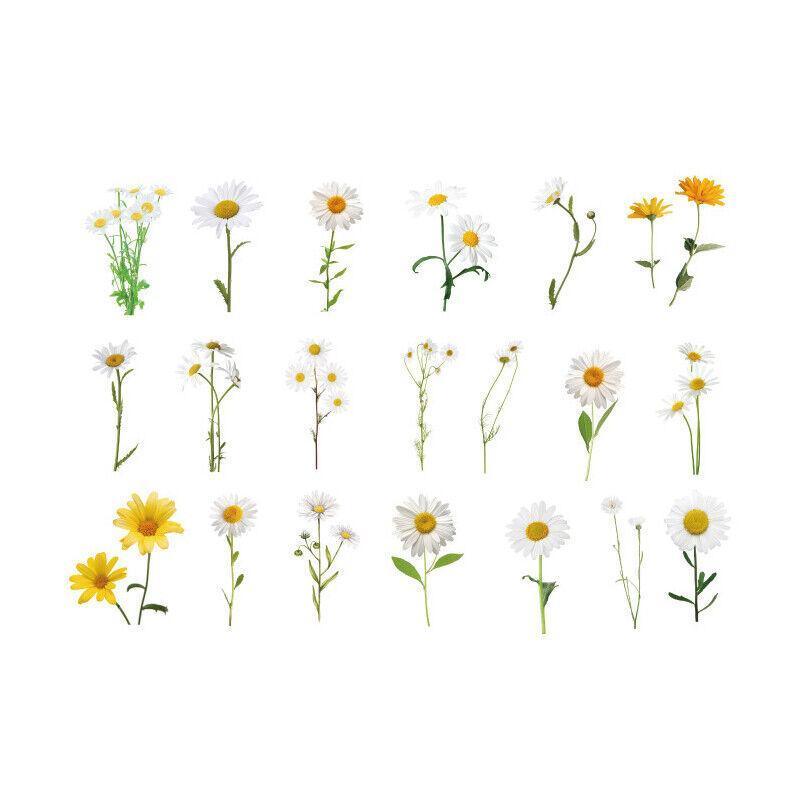 Scrapbooking Flower Stickers Pet Transparent Sticker - G