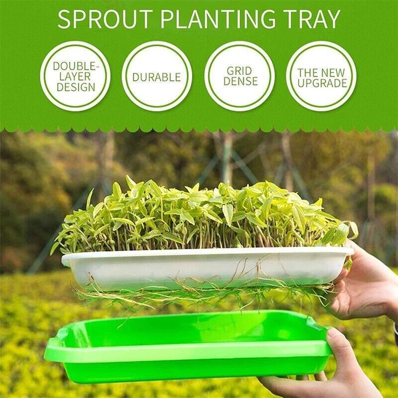 Double Layer Microgreens Tray for Hydroponic Seeding Germination Wheatgrass