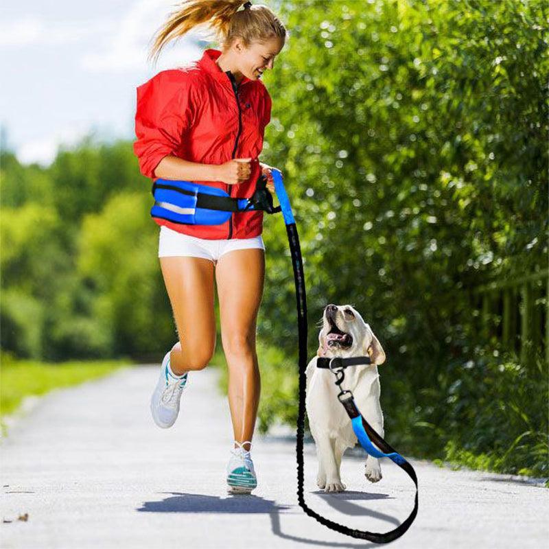Adjustable Hands Free Dog Leash Lead + Waist Bag Belt Jogging Walking Running - Black + Blue