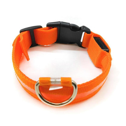 L Size USB Rechargeable LED Dog Collar Nylon Glow Flashing Light Up Neck Strap - Green
