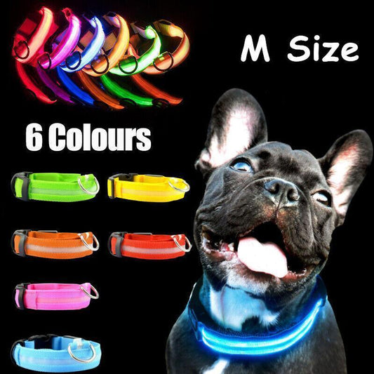 M Size USB Rechargeable LED Dog Collar Nylon Glow Flashing Light Up Pet Collar - Green