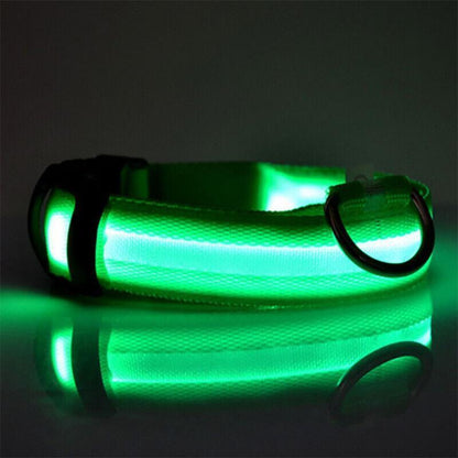 M Size USB Rechargeable LED Dog Collar Nylon Glow Flashing Light Up Pet Collar - Green