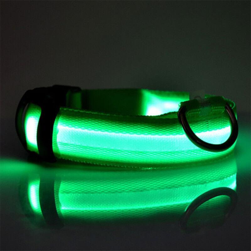 L Size USB Rechargeable LED Dog Collar Nylon Glow Flashing Light Up Neck Strap - Yellow